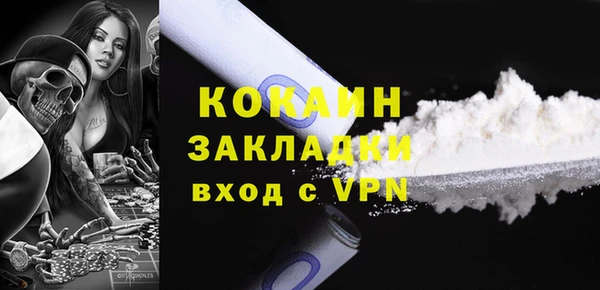 индика Надым
