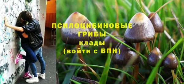 трава Алексин