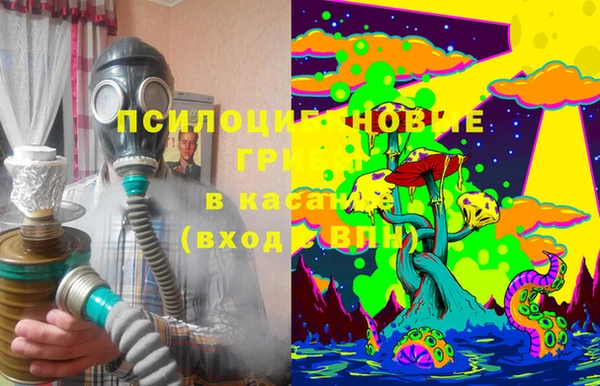 2c-b Алзамай