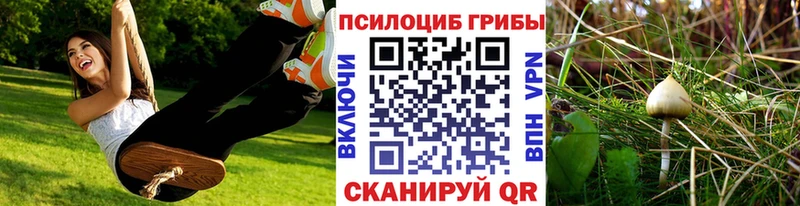 Псилоцибиновые грибы ЛСД  где продают наркотики  Солнечногорск 
