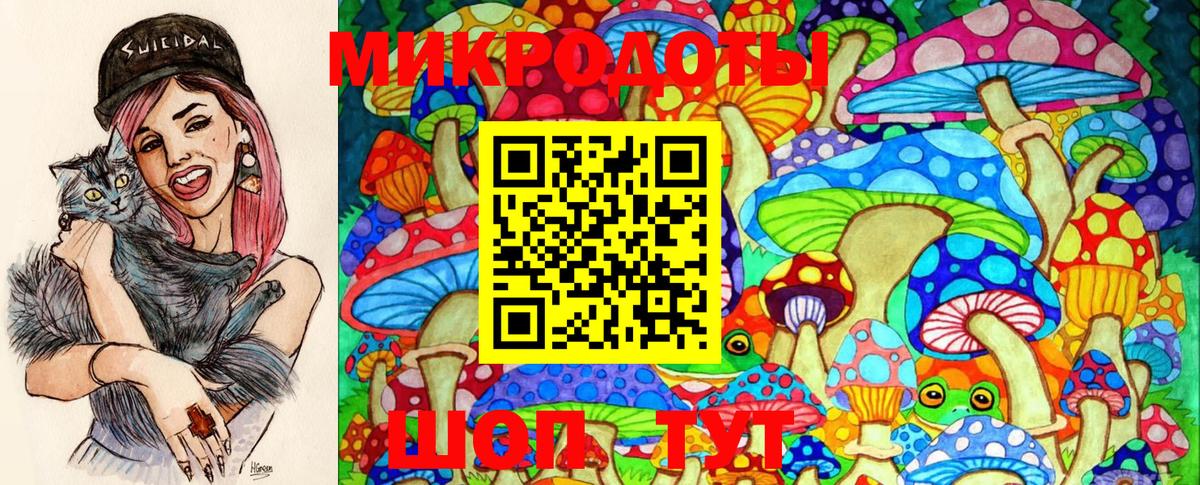 сколько стоит  Вход с VPN  Солнечногорск  Галлюциногенные грибы Psilocybe 